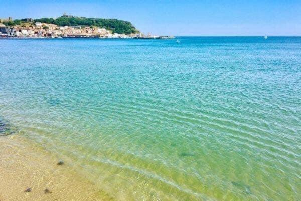 Lighthouse View, One Min From Harbour & Beach Apartment Scarborough Bagian luar foto